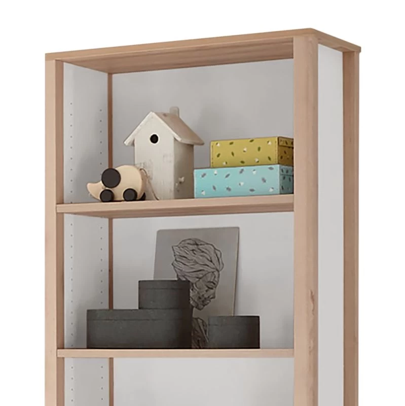 Bibliothèque Jonas I 3 Bibliothèque Jonas I – Image 3