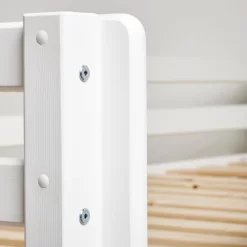 Lit Mezzanine Dinosaur -Meubles Pour Enfants 1000261387 210422 08042800010 DETAILS P000000001000261387